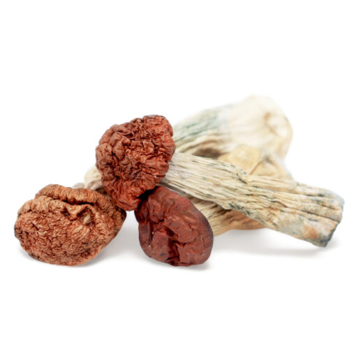 where to buy psilocybin mushrooms