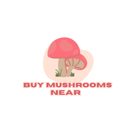 Buy Mushrooms Near